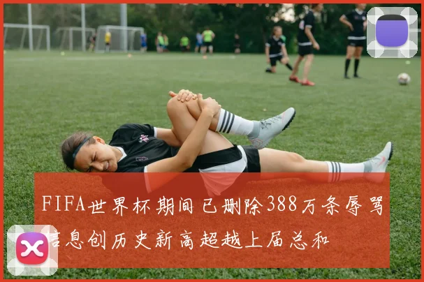FIFA世界杯期间已删除388万条辱骂信息创历史新高超越上届总和