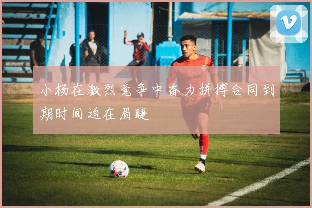小杨在激烈竞争中奋力拼搏合同到期时间迫在眉睫