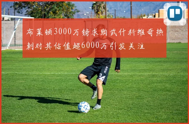 布莱顿3000万镑求购武什科维奇热刺对其估值超6000万引发关注